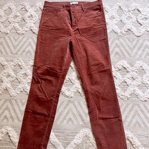 Loft High Waisted Straight Leg Velvet Pant